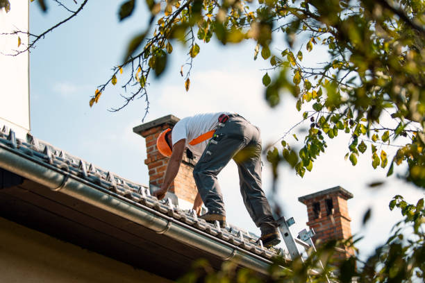Best Rubber Roofing (EPDM, TPO)  in Richland, GA