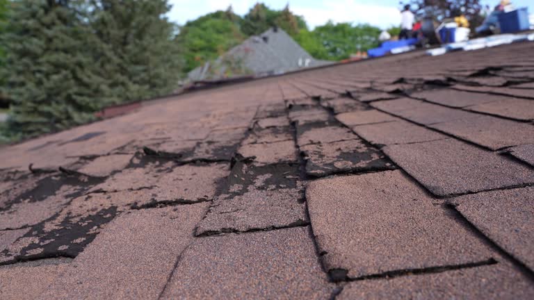 Best Metal Roofing Installation  in Richland, GA