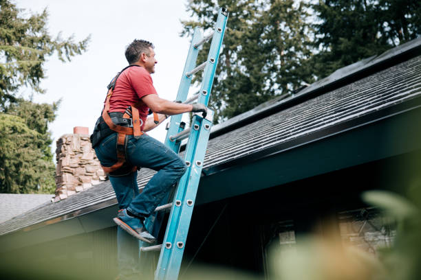 Best Asphalt Shingle Roofing  in Richland, GA